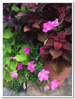 제21차 이냐시오 영성 침묵 피정 (8/10-8/14) - Image 15