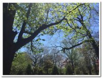 2016 일일피정/서약식 (4/24) - Image 25