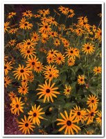 제21차 이냐시오 영성 침묵 피정 (8/10-8/14) - Image 19