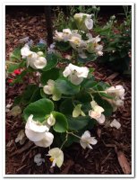 제21차 이냐시오 영성 침묵 피정 (8/10-8/14) - Image 18