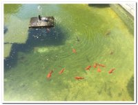 2016 일일피정/서약식 (4/24) - Image 27