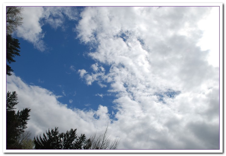 DSC_0035.jpg